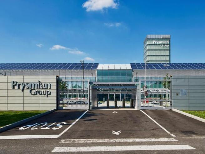 661ccf841ce7drd334-233-9535