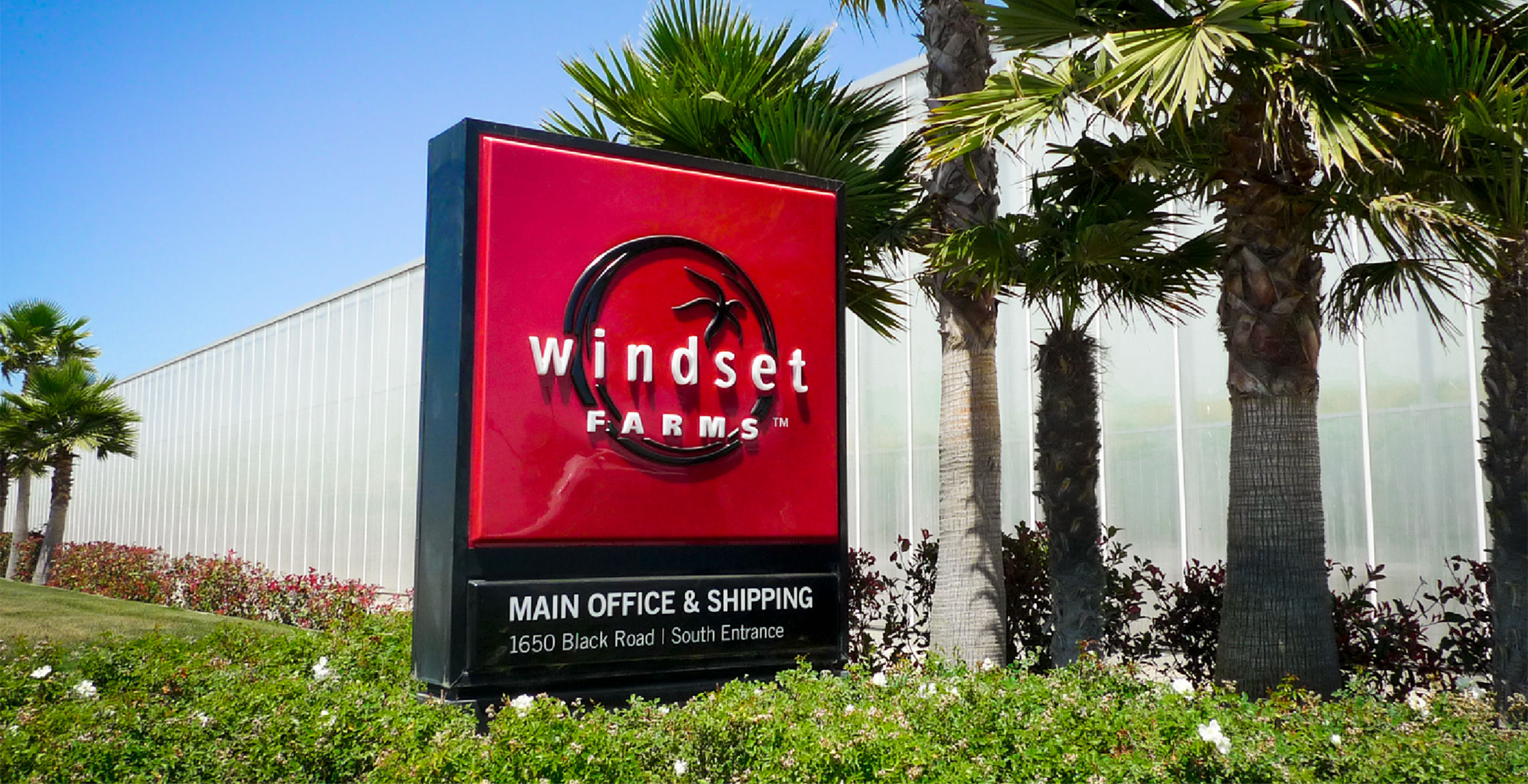Windset-banner