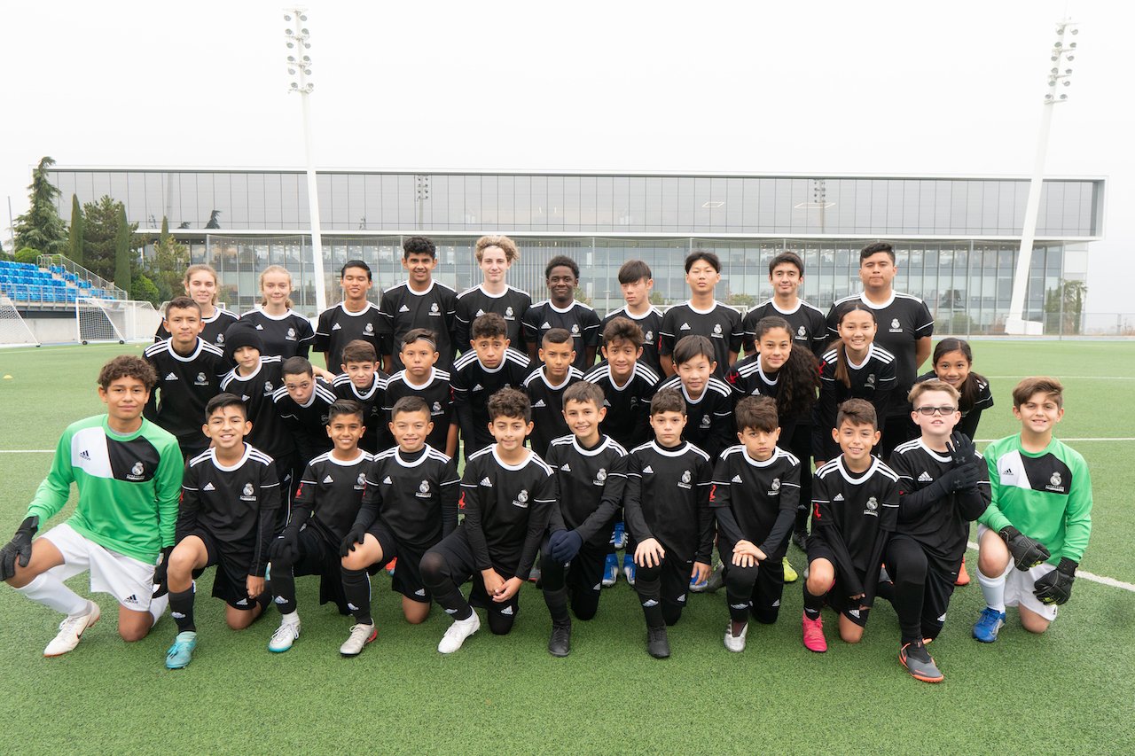 collage-leodavincipro-08110