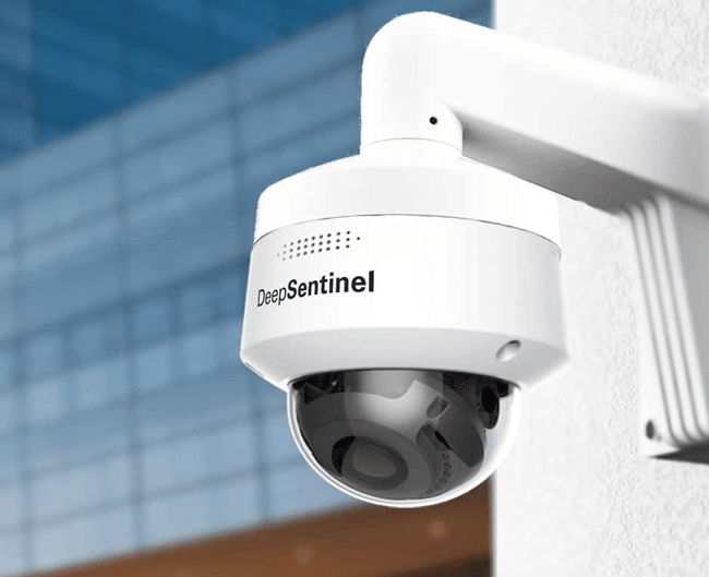 main-image-horizontal-1-deep-sentinel