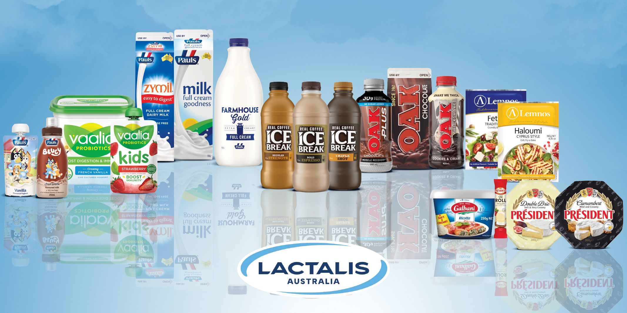 40450LactalisBannersV7-01