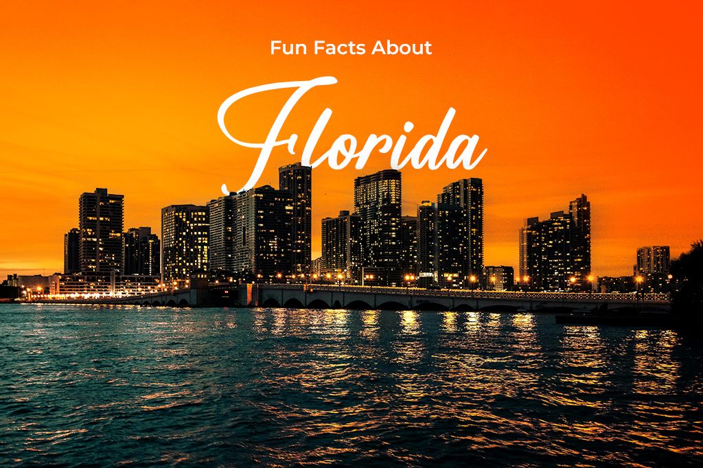 FunFactsAboutFlorida55630439e3