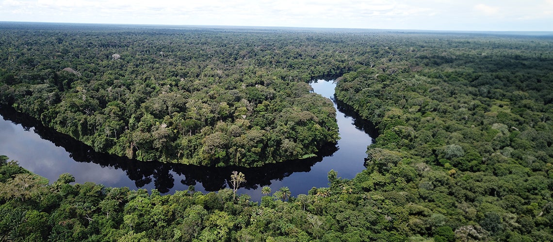 congo-basin-natural-capital-wealth-for-people-1400x500