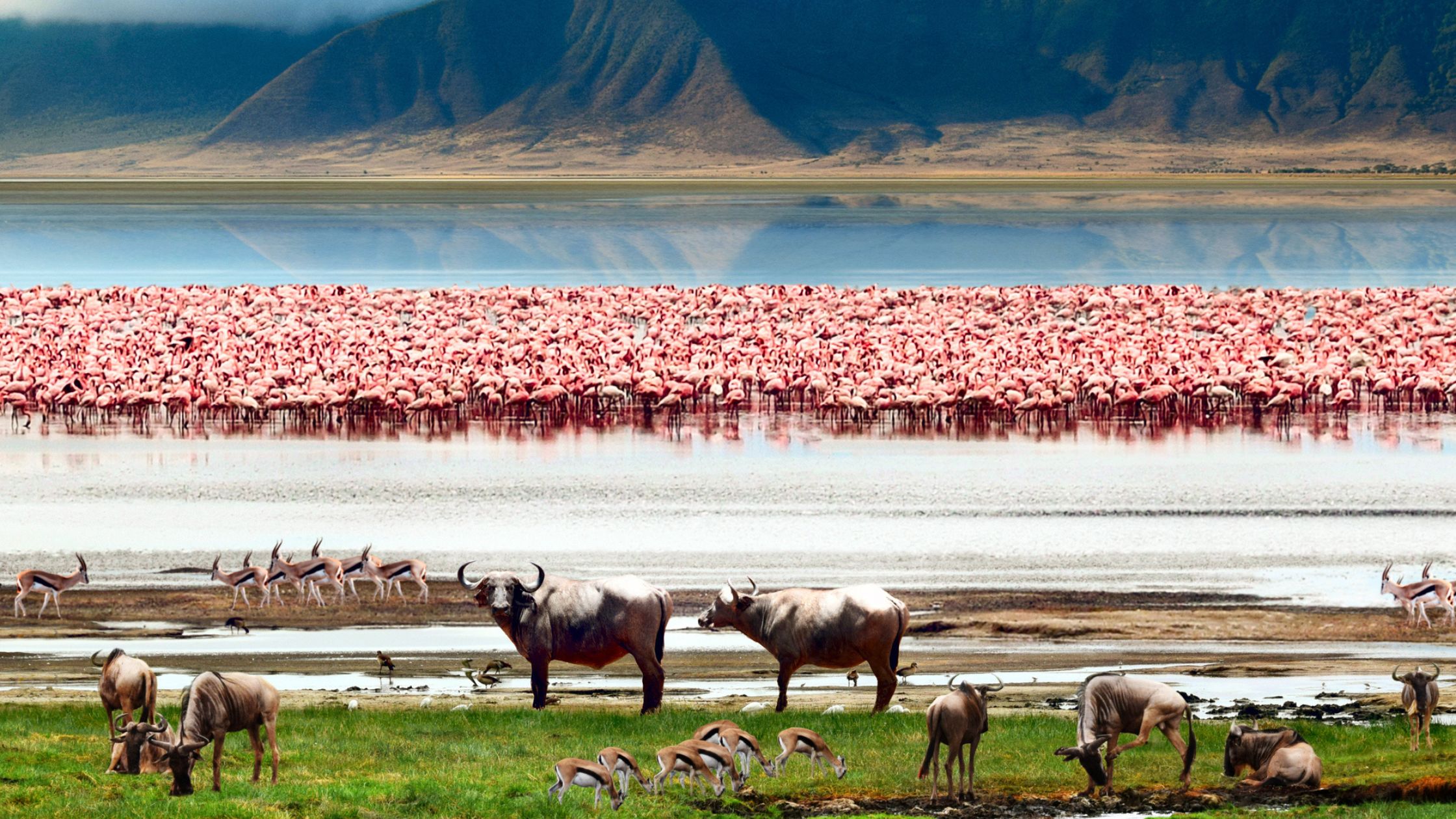 Ngorongoro-Crater-in-Tanzania