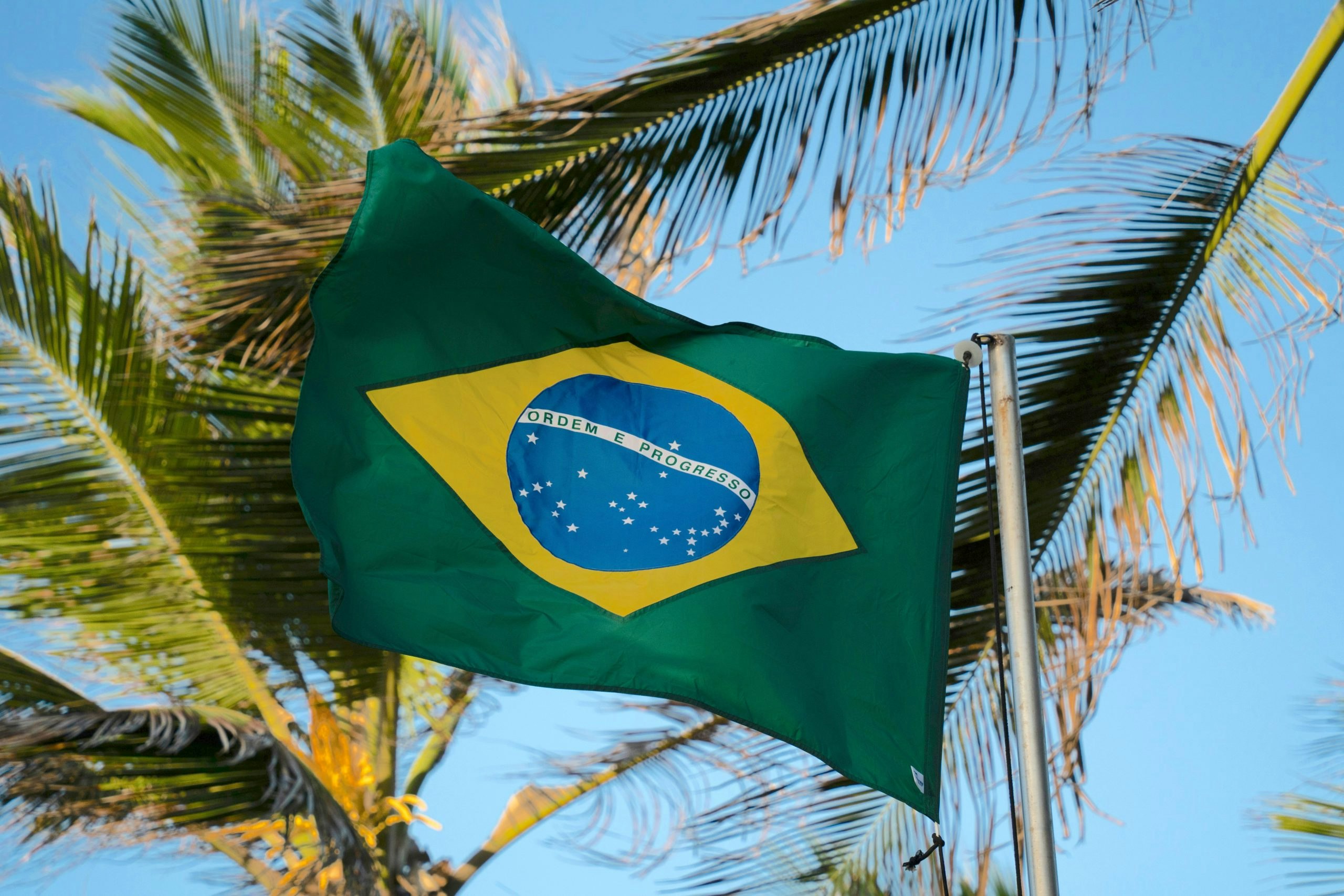 fernando-dantas-IrxrIfFZCRU-unsplash-scaled