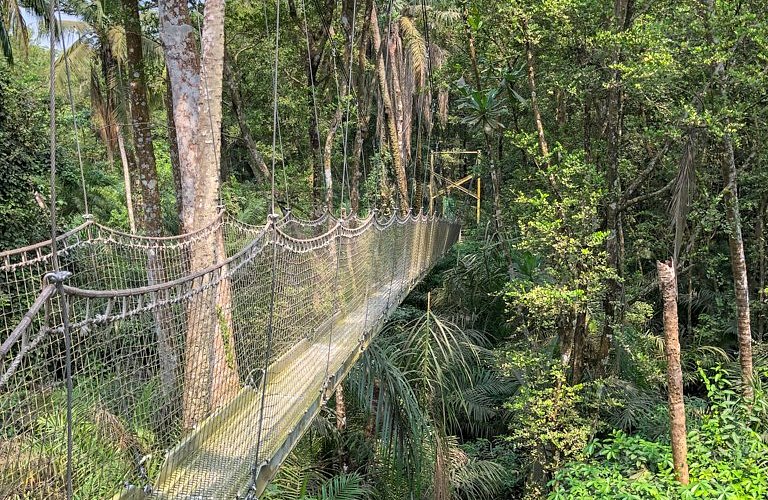 the-swaying-of-the-walkways