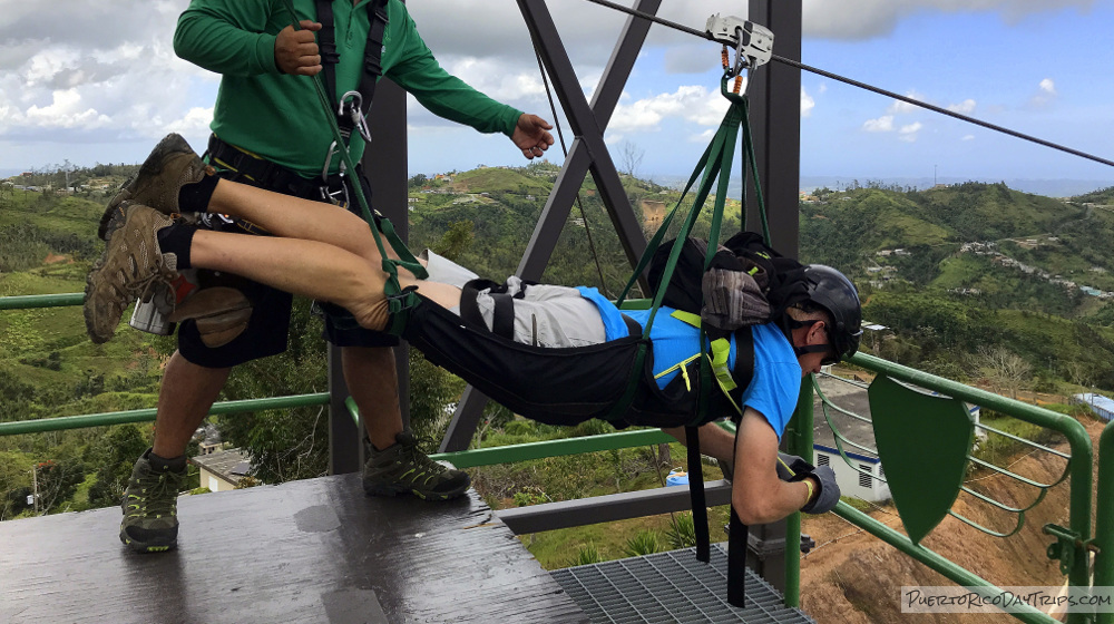 toro-verde-monster-1a