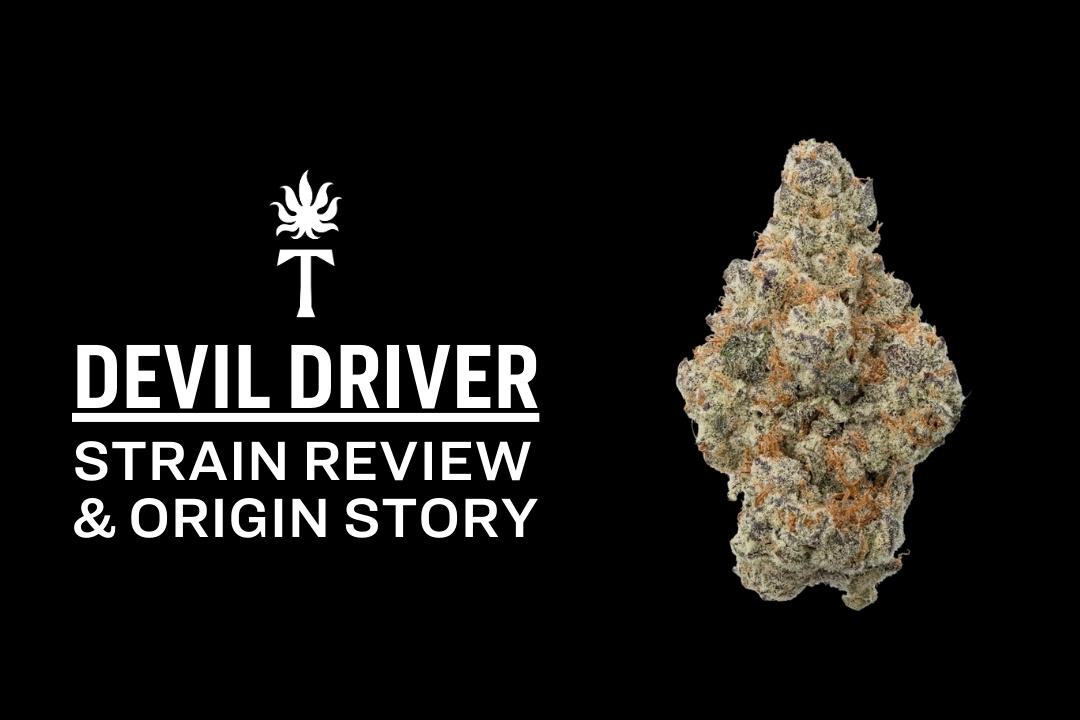 DEVILDRIVERTorchesBlogFeat5