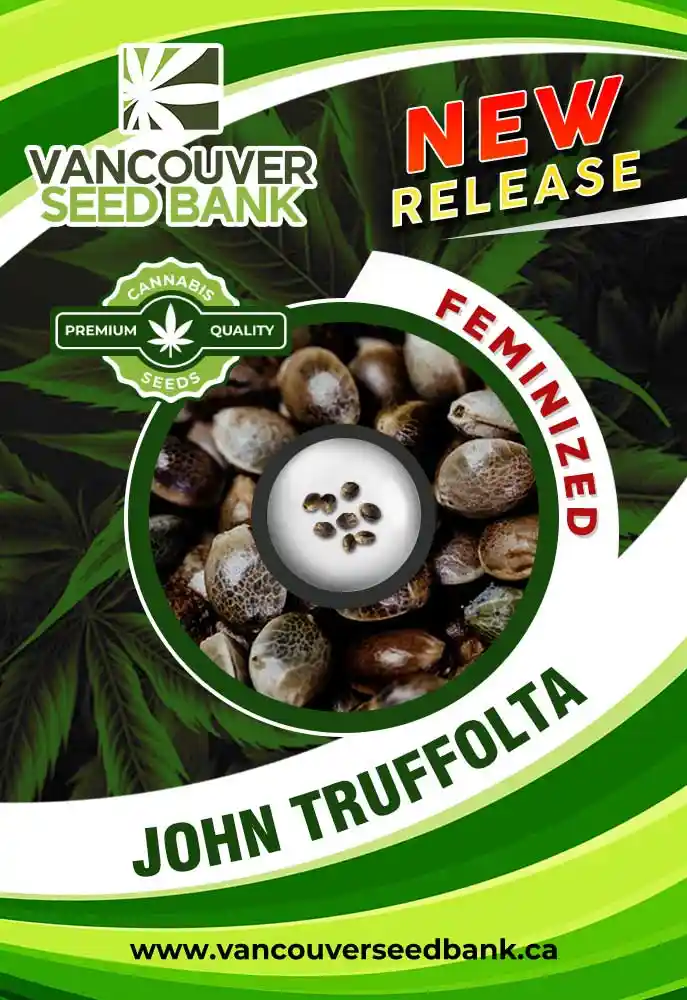 John-Truffolta-Strain