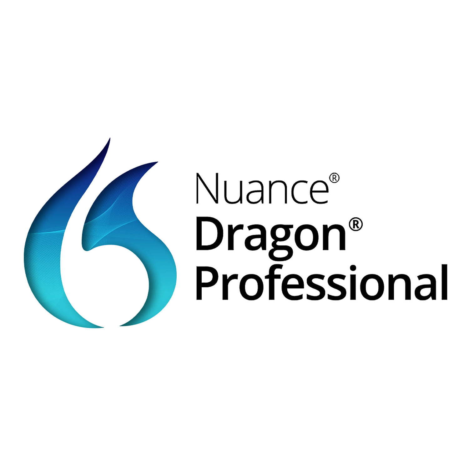 Dragon-Professional-Logo