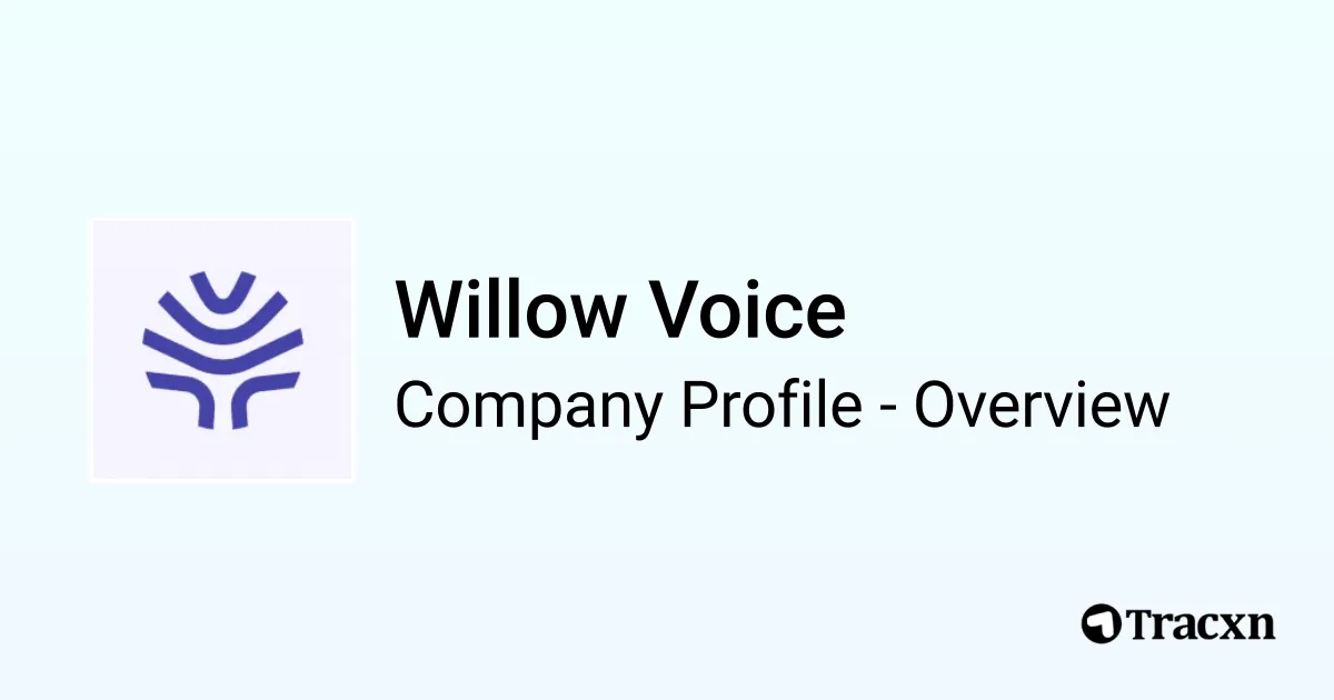 willow-voice-overview-1754318224689