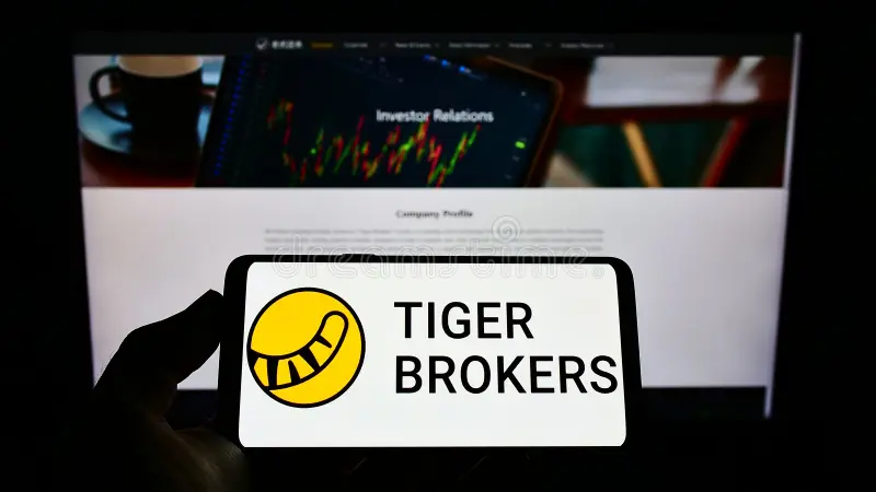 person-holding-mobile-phone-logo-company-up-fintech-limited-tiger-brokers-screen-web-page-stuttgart-germany-front-250905052