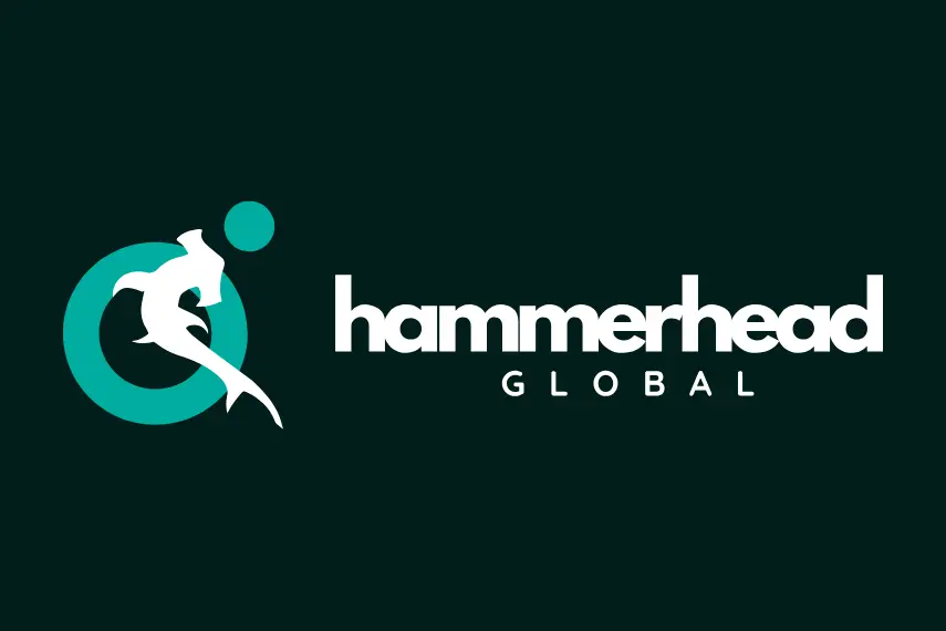 69a6bdbf03b3e205d13a8ef1Hammerhead-global-best-advertising-agency-in-india