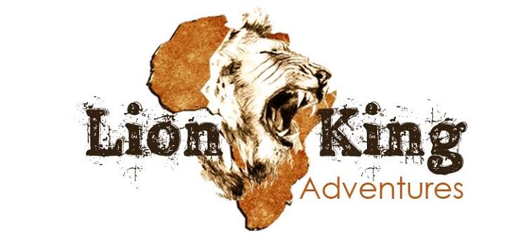 Top 10 Best Safari Companies In Tanzania 2026