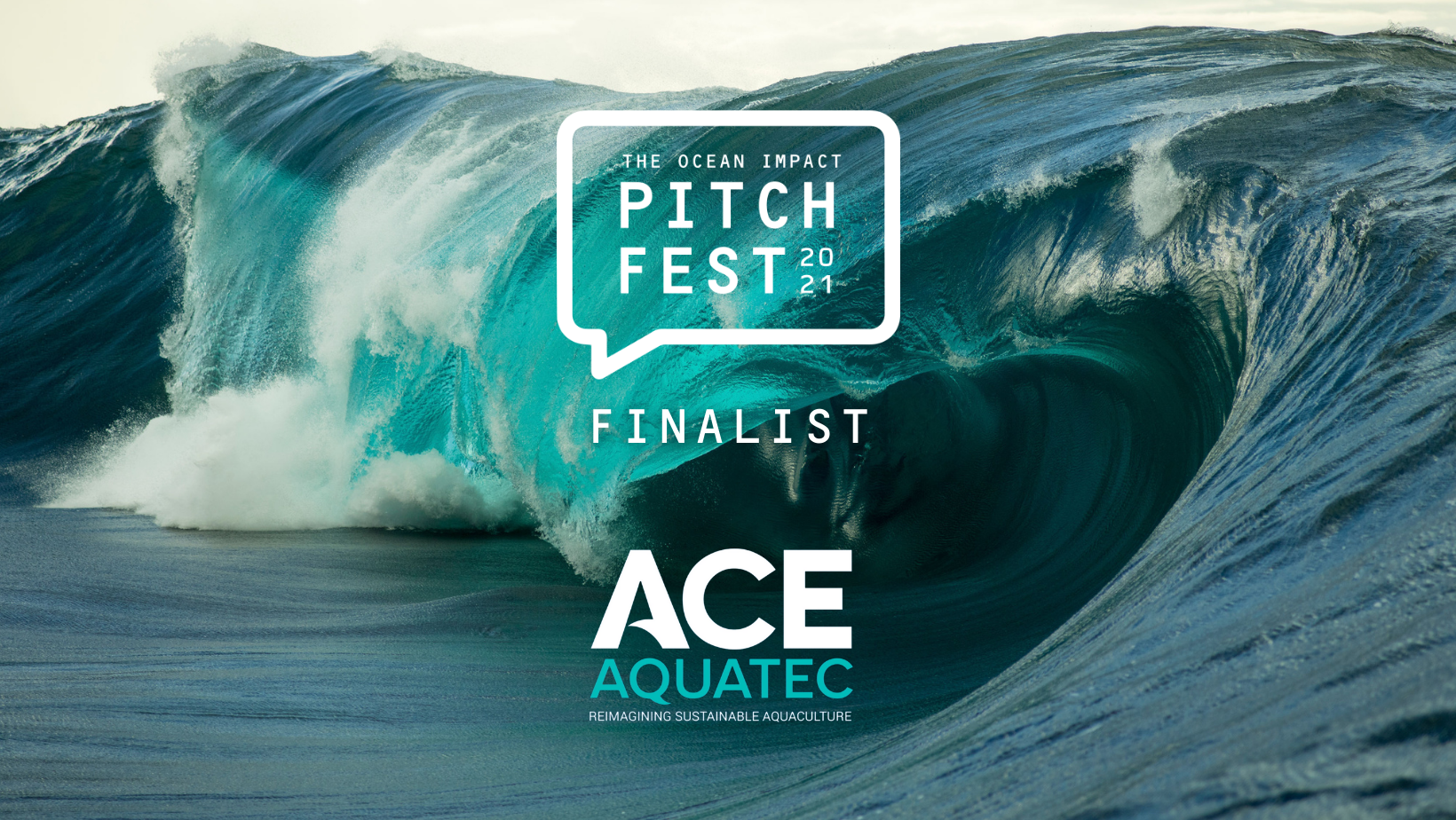 PitchfestFinalistLandscapeAceAquatic1