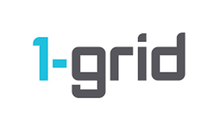 1-Grid-Web-hosting