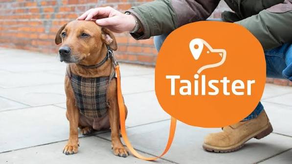 Top 10 Best Pet Care Services In UK 2026