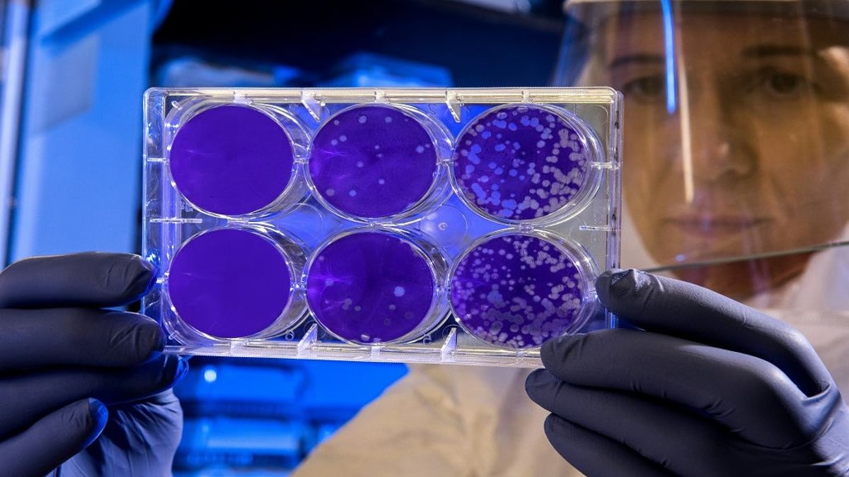 Receptor Grade IGF-1 LR3: Extended Molecular Signaling and Peptide Research