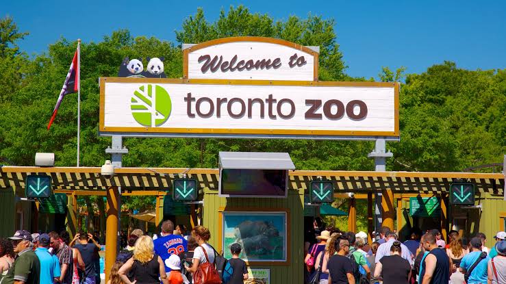 Image of Toronto Zoo - 2026