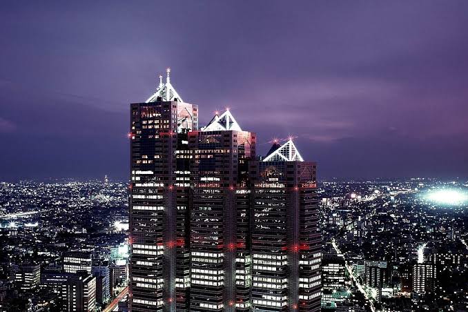 Top 10 Best Hotels In Japan 2026